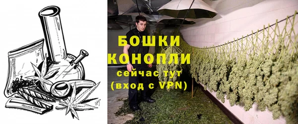 метадон Осташков